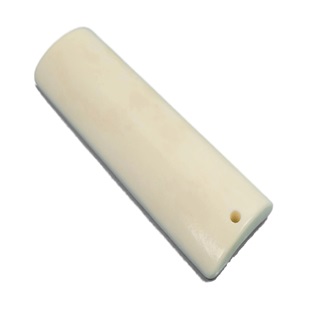bone-scale02